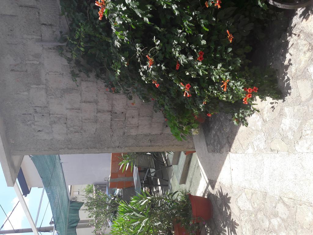 Apartments Mara Bela Karlobag Exterior photo